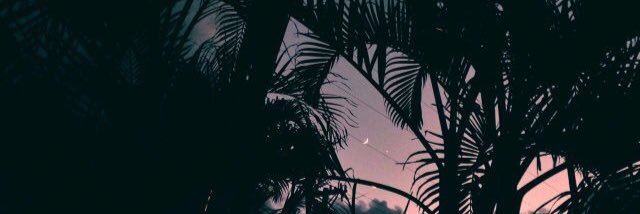 roxanamariax's profile banner image