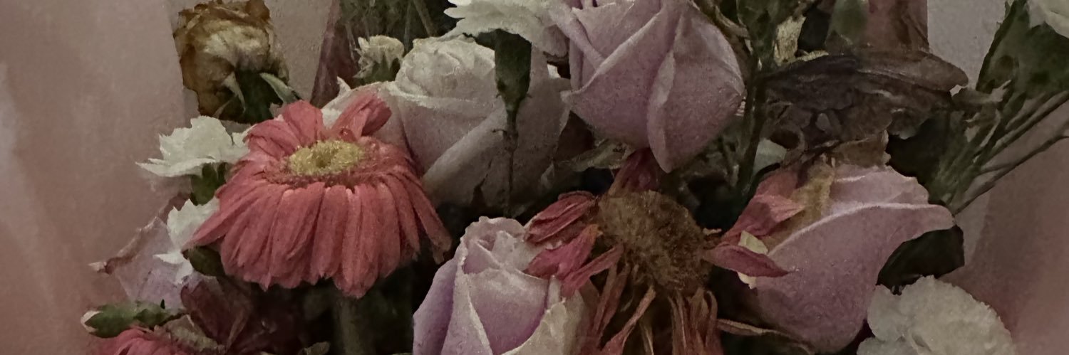 nora_interiano's profile banner image
