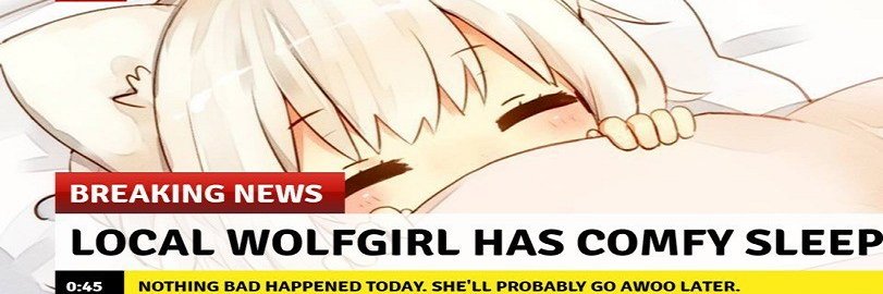 frogking_dude's profile banner image