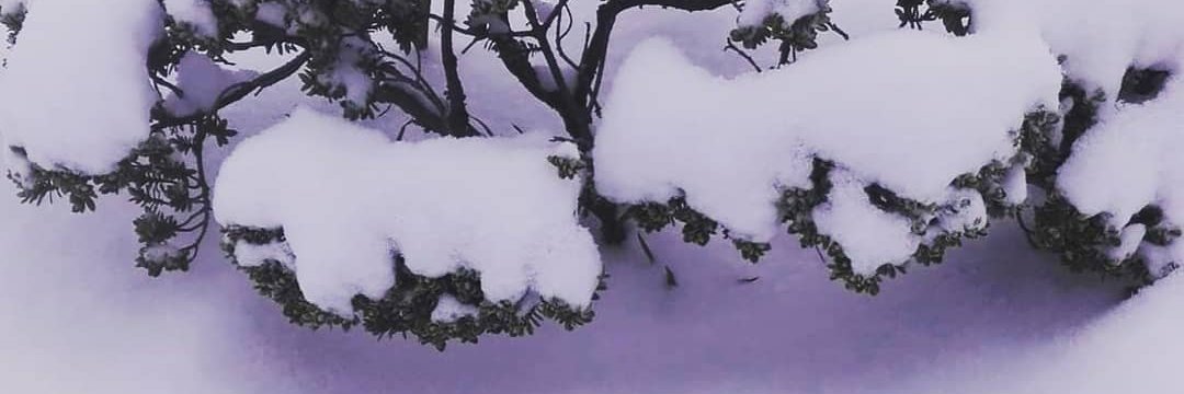 Pattitta16's profile banner image