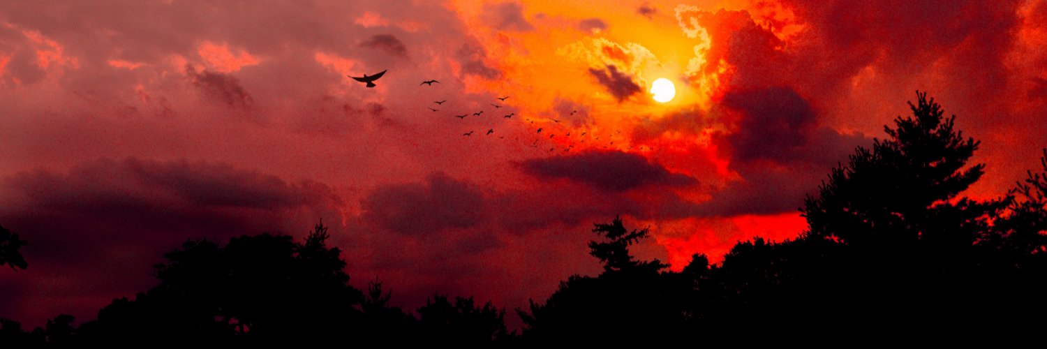 wandermbeatle's profile banner image