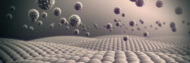 biocollective's profile banner image