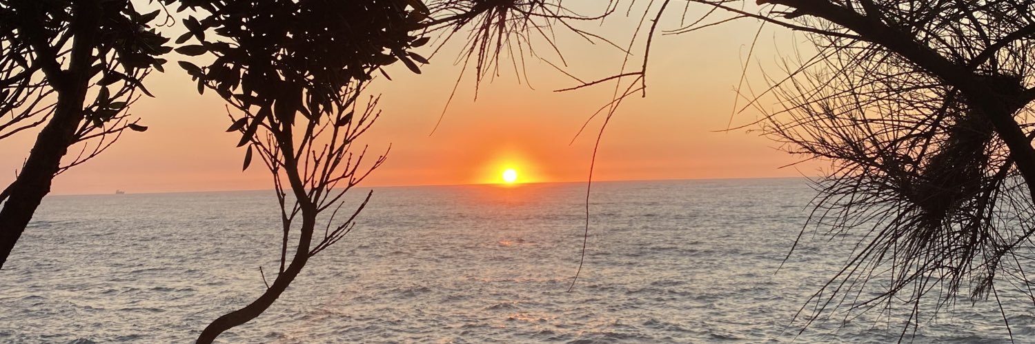 ericacoelho15's profile banner image