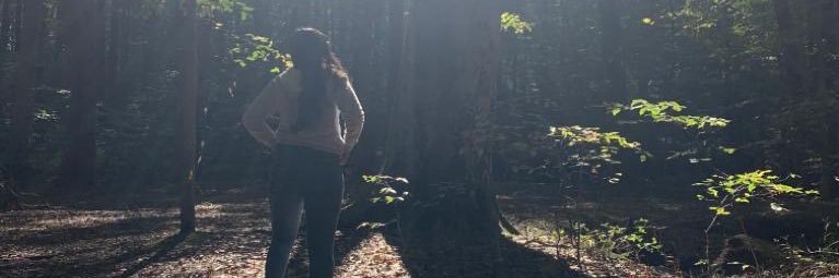 dannyveo's profile banner image