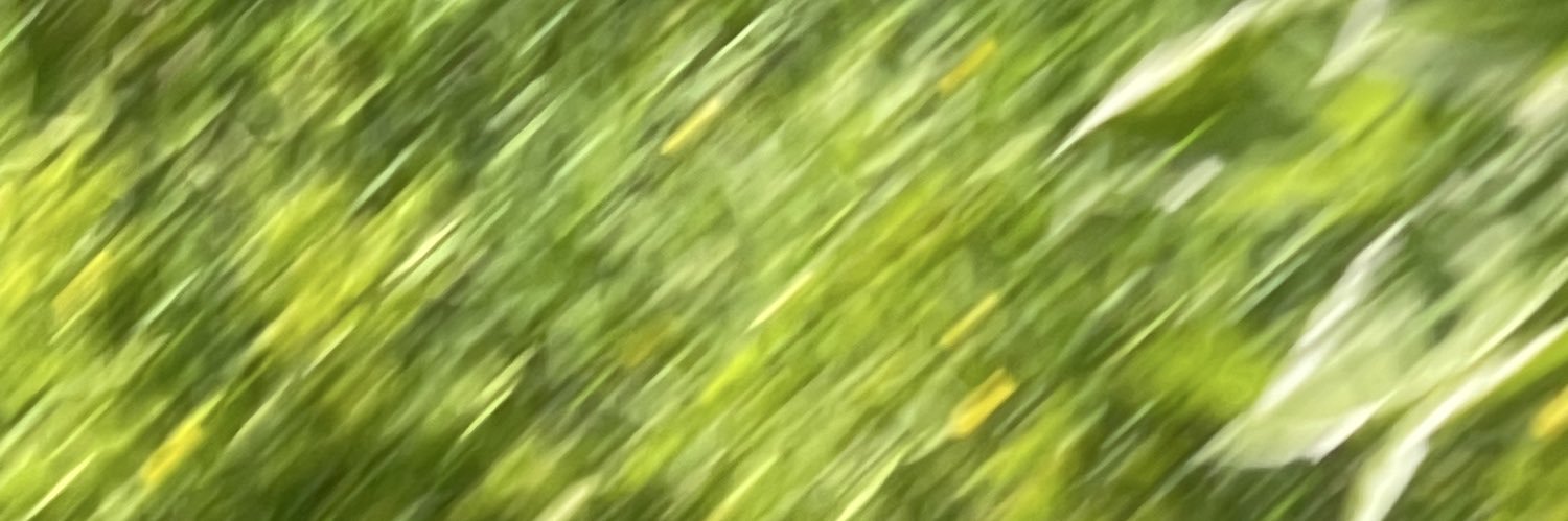 ShhhShae's profile banner image