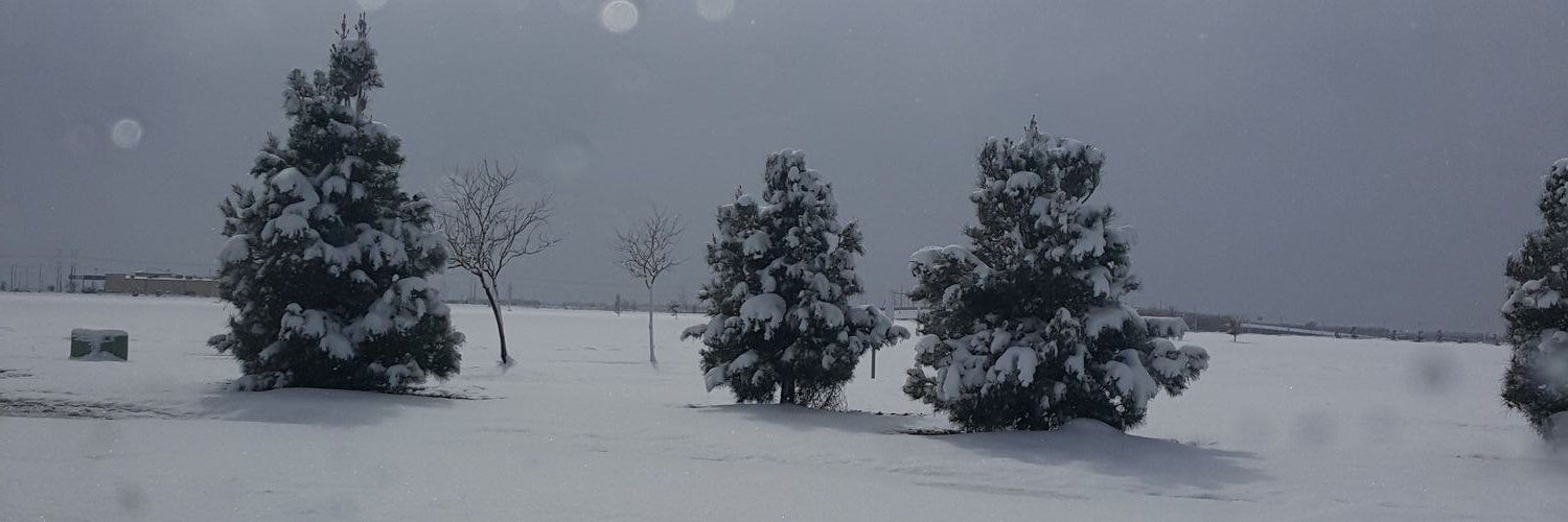 anthall1020's profile banner image