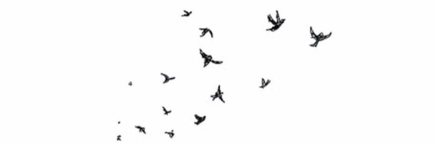 _llaii's profile banner image