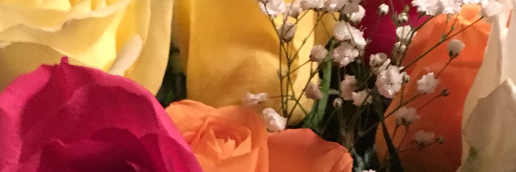 amya112782's profile banner image