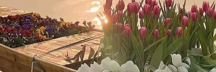_aaessy's profile banner image