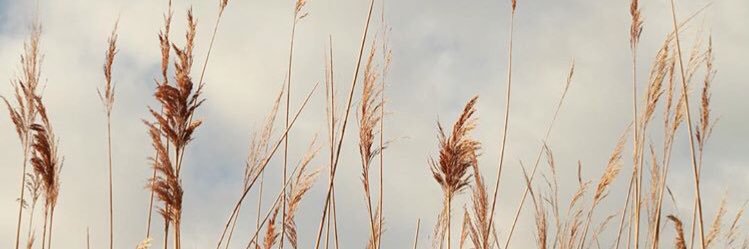 gizzemergin's profile banner image