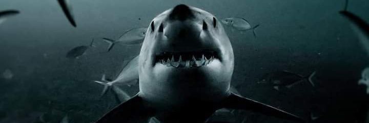 DougieDoug_7's profile banner image