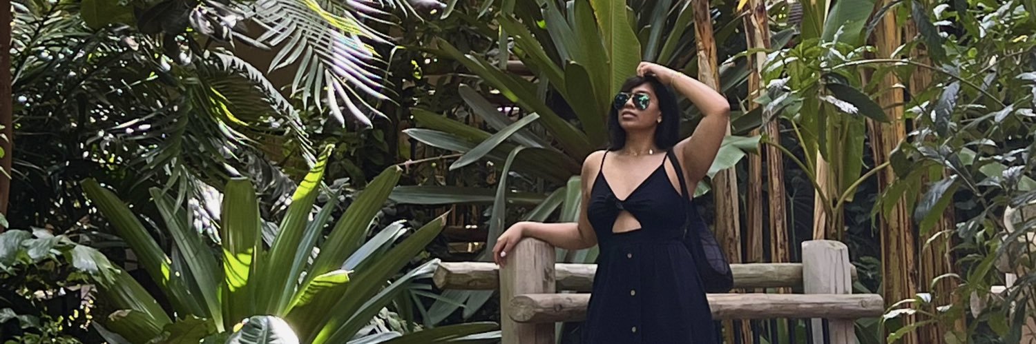 Monica Anisetti banner