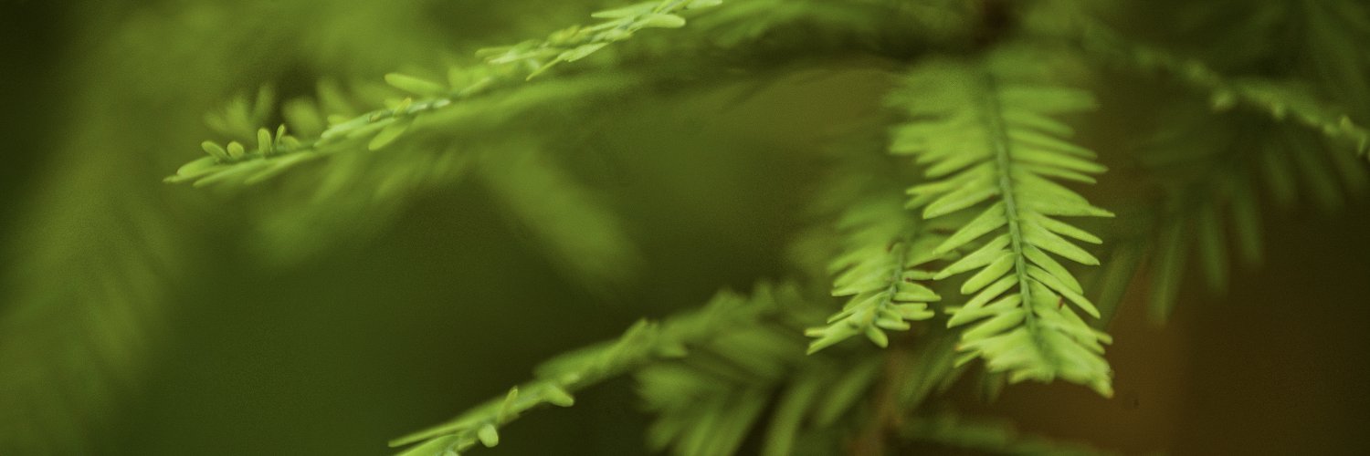 dnlnrs's profile banner image