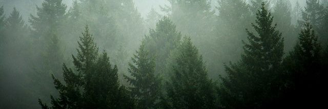 theodorableteds's profile banner image