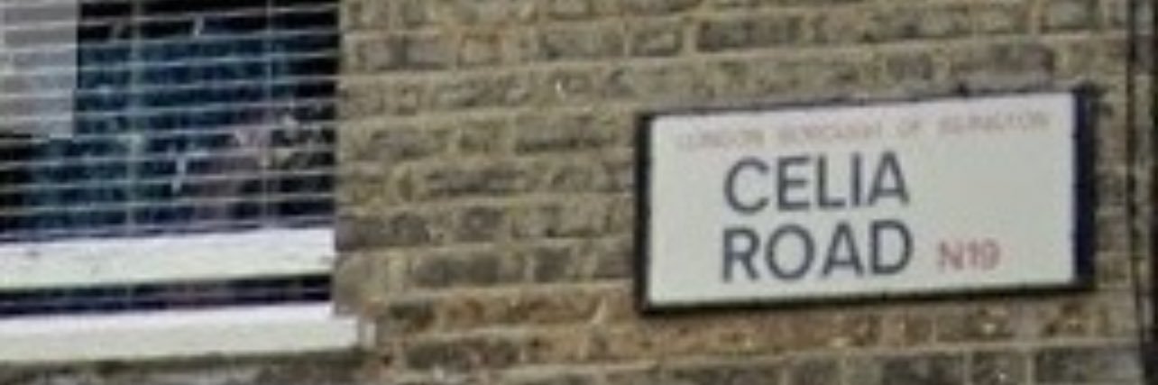 Celia Kleiman. banner