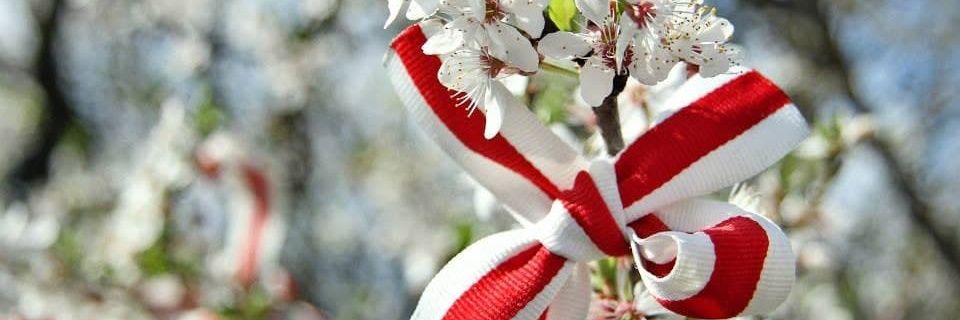 Vanda_vanda81's profile banner image