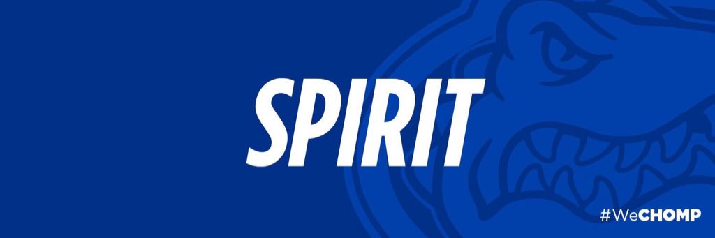 Florida Cheerleading banner