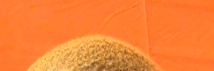 zaetheone's profile banner image