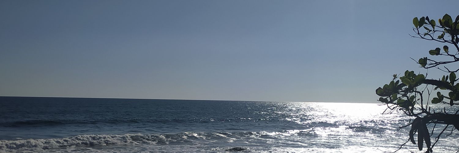 lachelegala's profile banner image