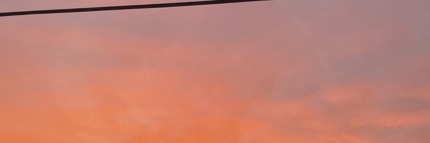 Ari_macgirl's profile banner image