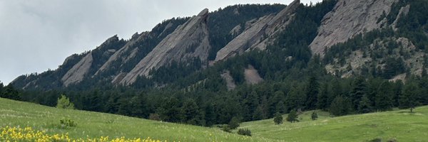Cervantes_Lily1 Profile Banner