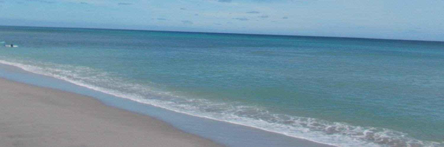 lnmillican's profile banner image