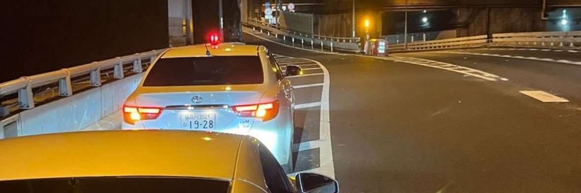 クリプトザメ banner