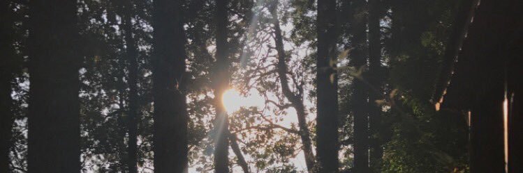So_Angelic116's profile banner image