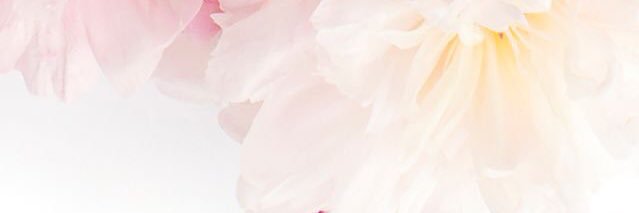 JacquelynneFont's profile banner image