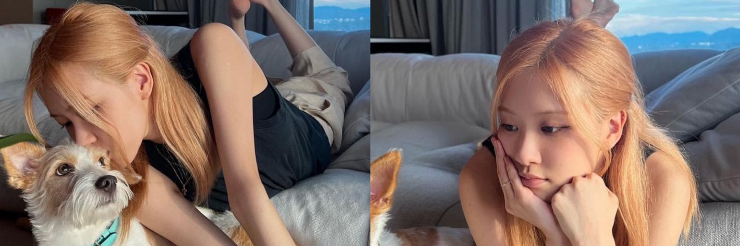 Rose69vt's profile banner image