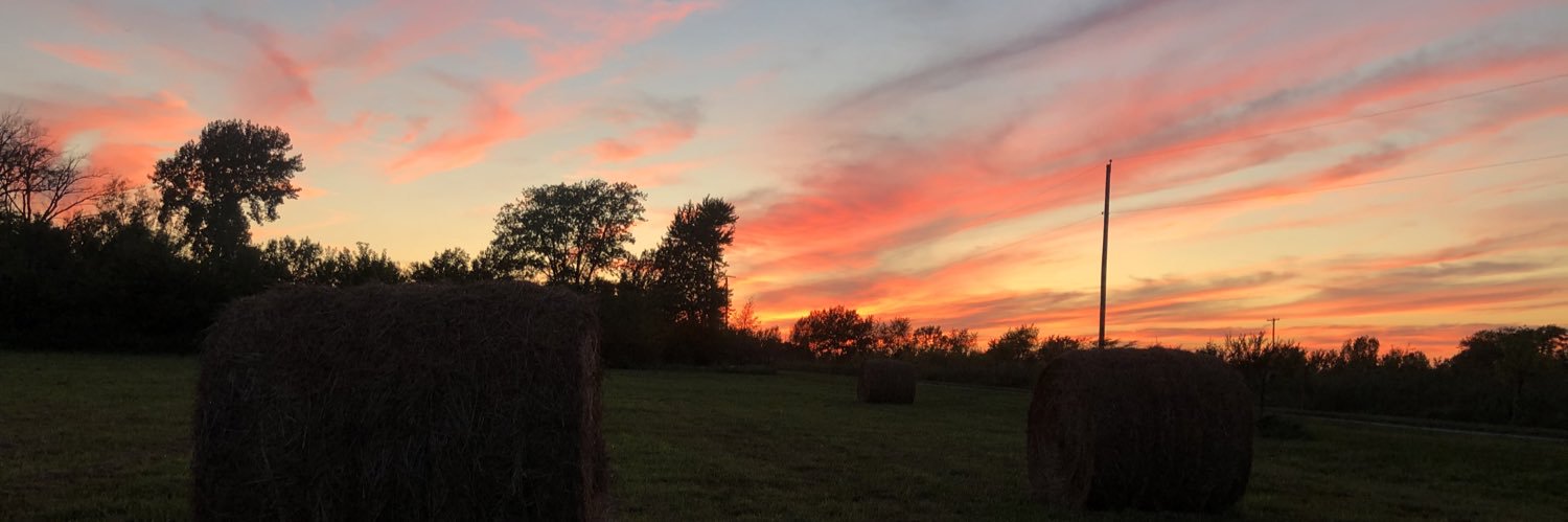 lsiegert15's profile banner image
