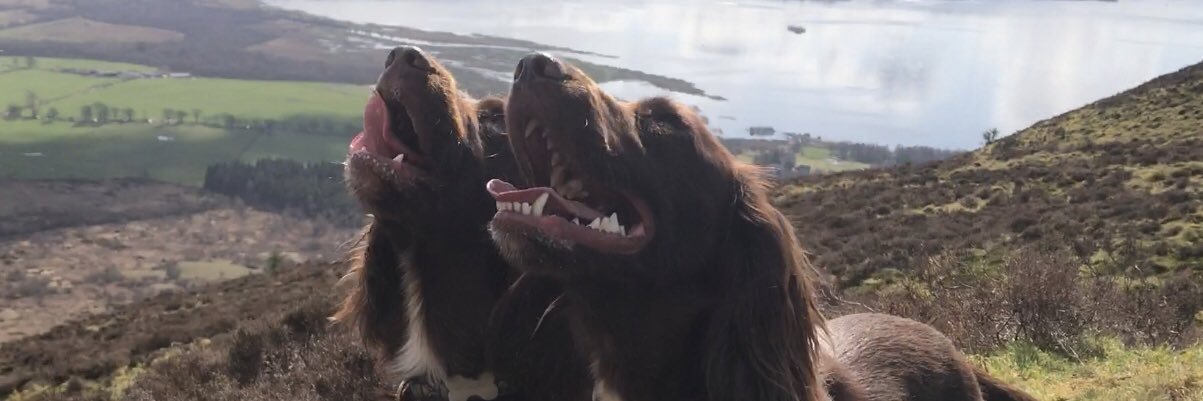 HJenkins92's profile banner image