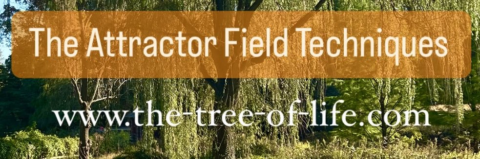AttractorFields's profile banner image