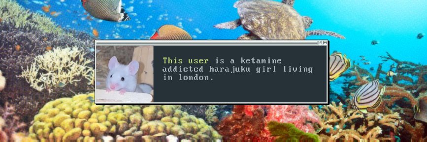 jemusiii's profile banner image