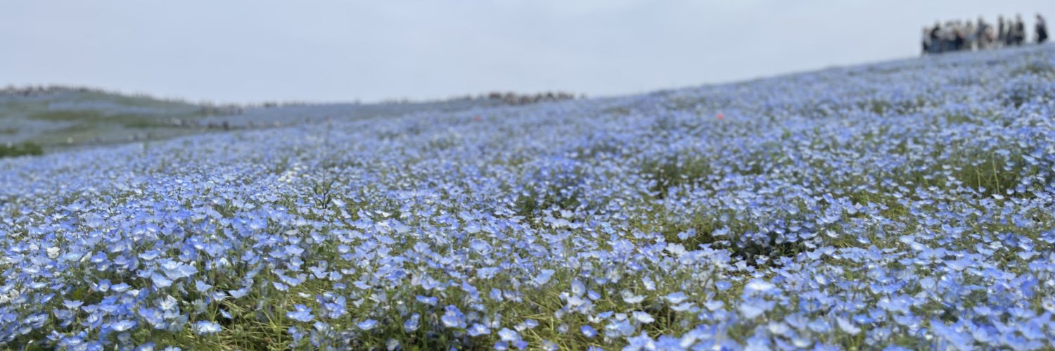 ami_colorful's profile banner image