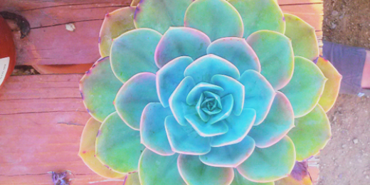 KelseyOfficer's profile banner image