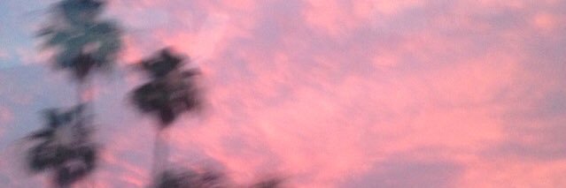 rareputaa's profile banner image