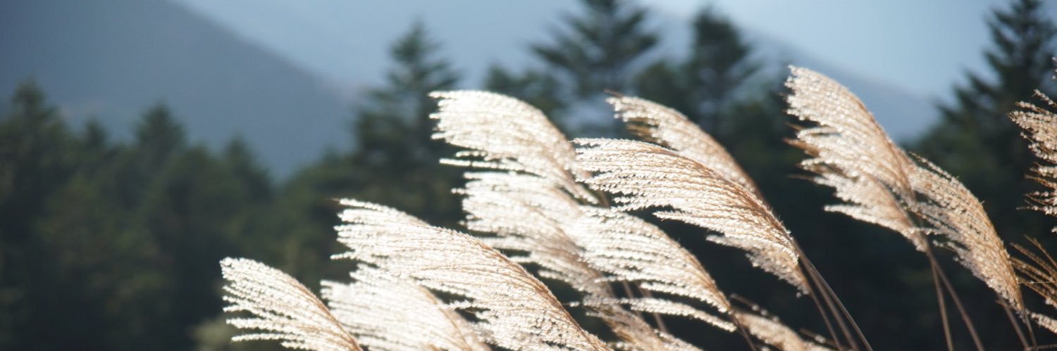 jin_0314's profile banner image