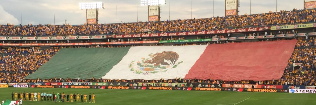 alitogarza's profile banner image