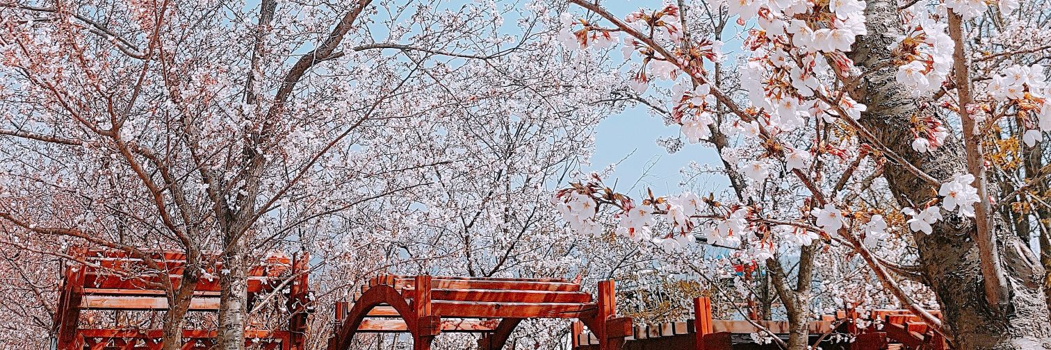 사사 ササ♡ banner