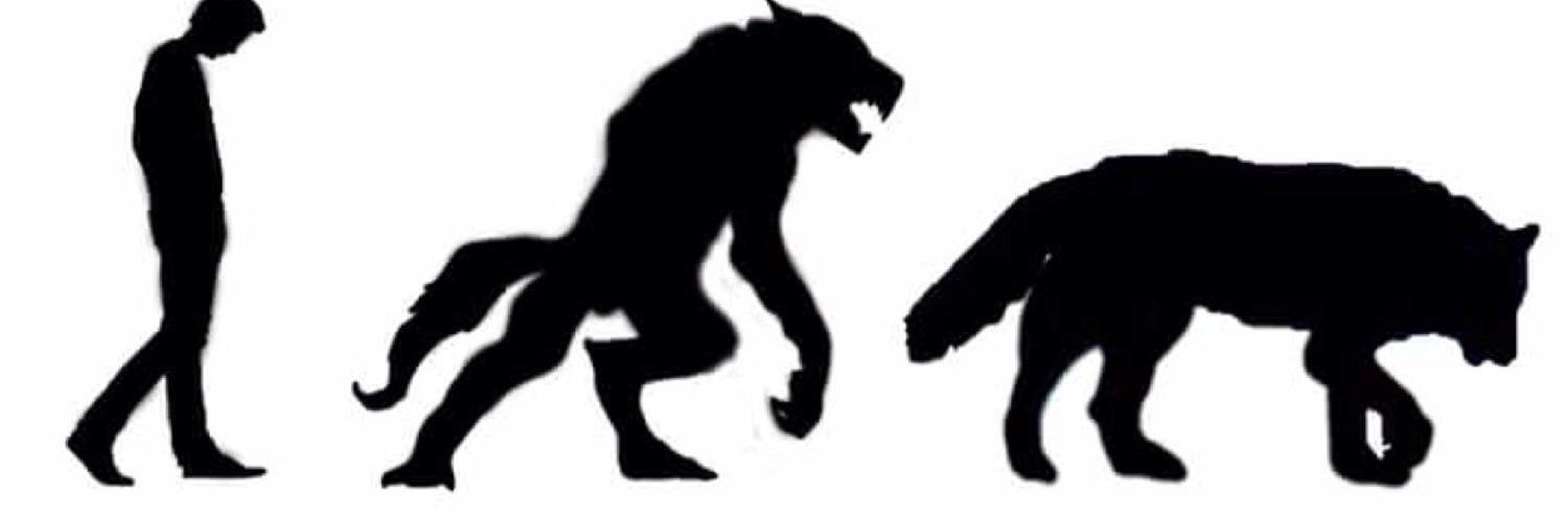 rileyannw's profile banner image