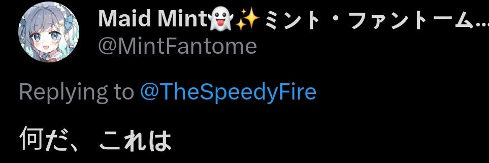 TheSpeedyFire's profile banner image