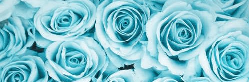 _CMB97's profile banner image