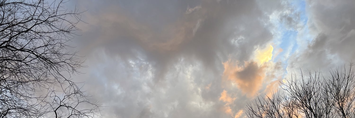 PerlaLovesShady's profile banner image