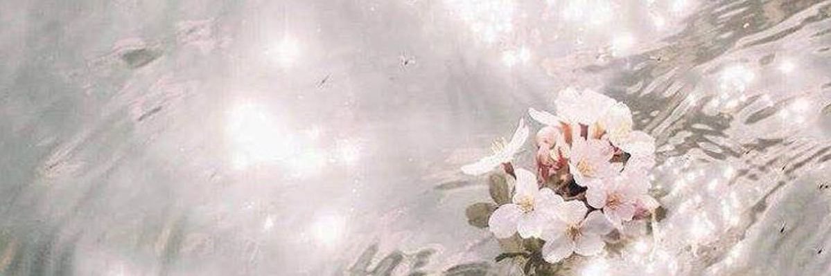 marissa banner