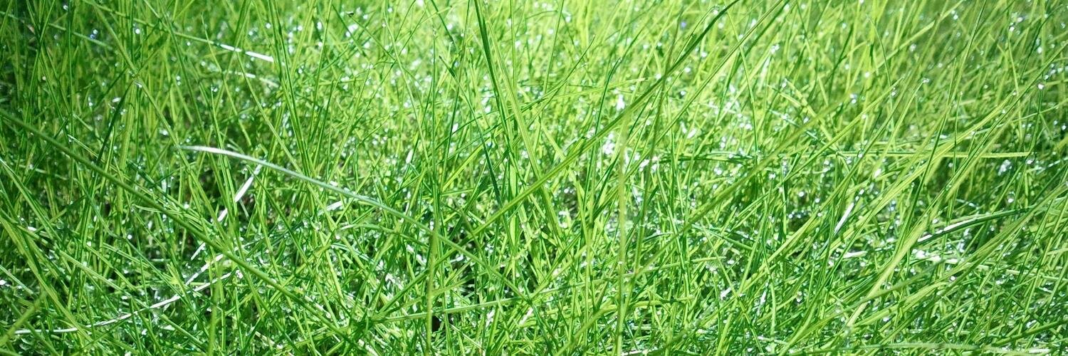 jey8s's profile banner image