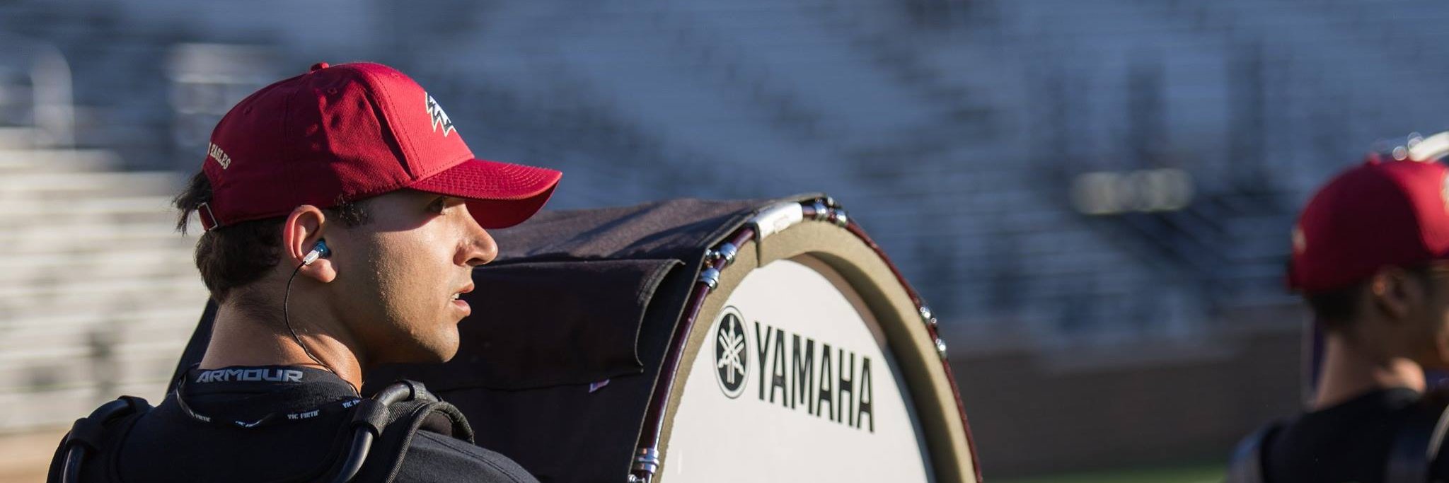 Michael Larmann banner