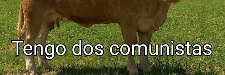 rafabustos99's profile banner image