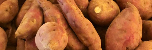 BrianHalweil Profile Banner