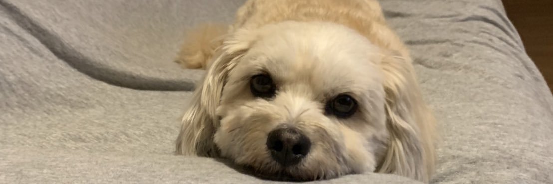 Tr6Annn's profile banner image